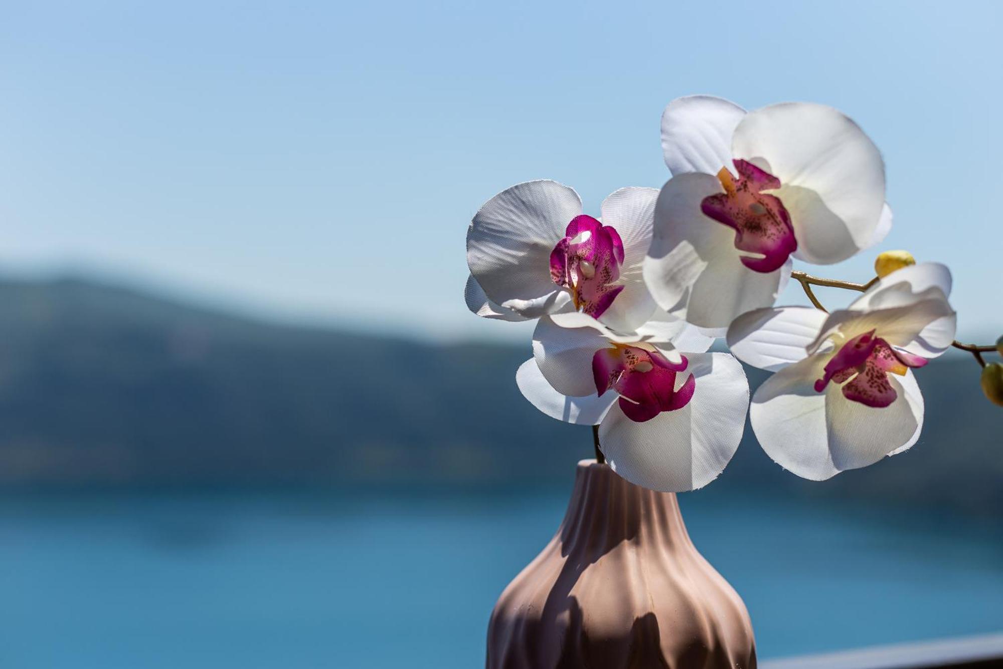 Hotel Castel Gandolfo Δωμάτιο φωτογραφία
